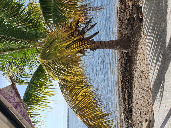 Casa Vista al Mar, Cienfuegos 2